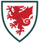 威尔士U19 logo