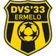 DVS厄梅洛 logo